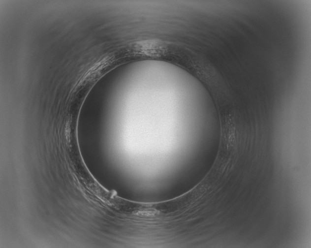 X0000086000595200703231147