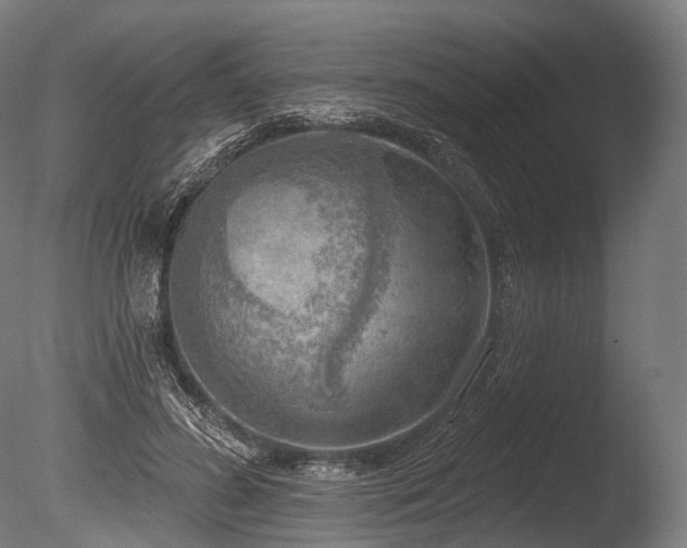 X0000086000596200703231147