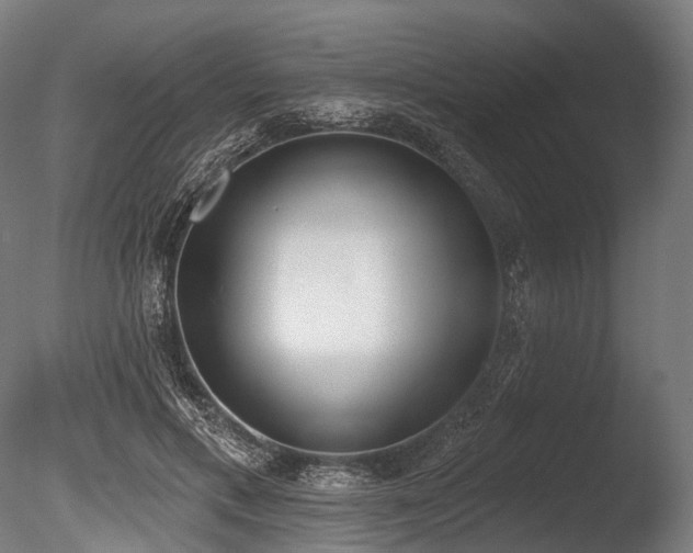 X0000086000597200703231147