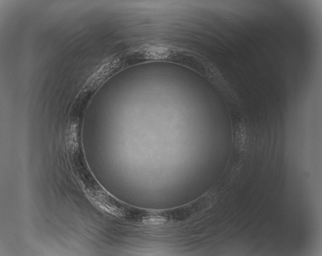 X0000086000598200703231147