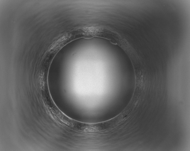 X0000086000599200703231147