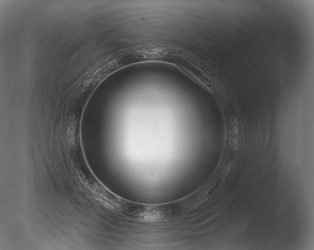 X0000086000604200703231147