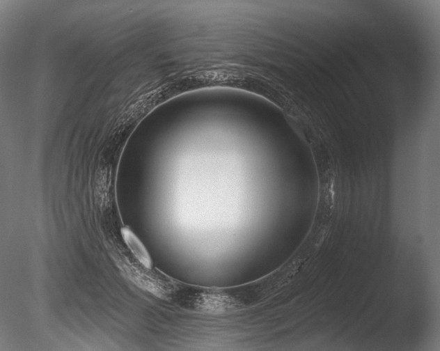 X0000086000605200703231147