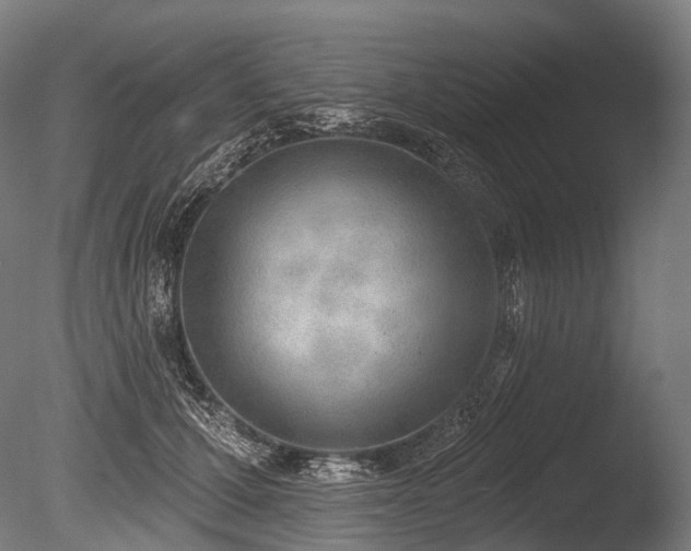 X0000086000607200703231147