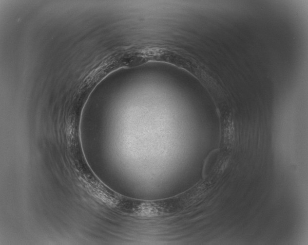 X0000086000608200703231147