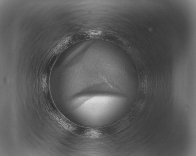 X0000086000610200703231147