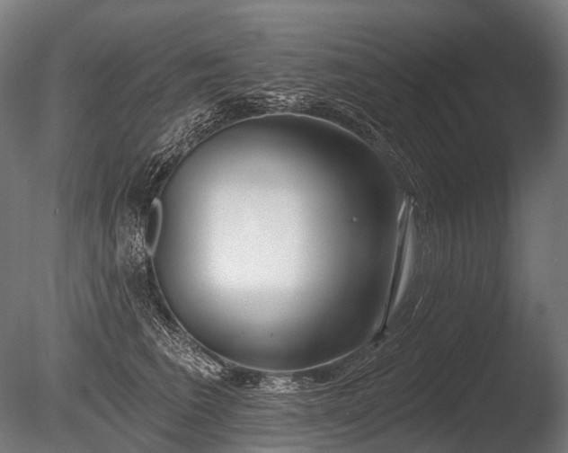 X0000086000613200703231147