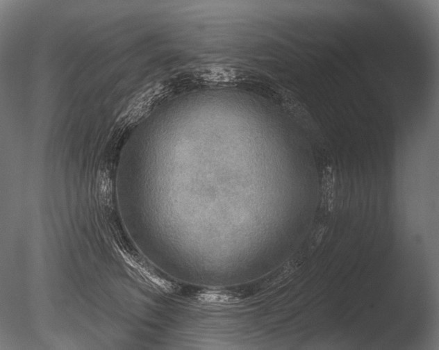 X0000086000614200703231147