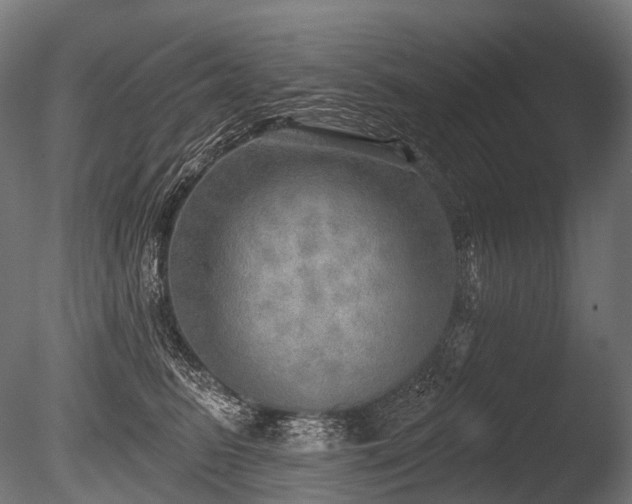 X0000086000615200703231147