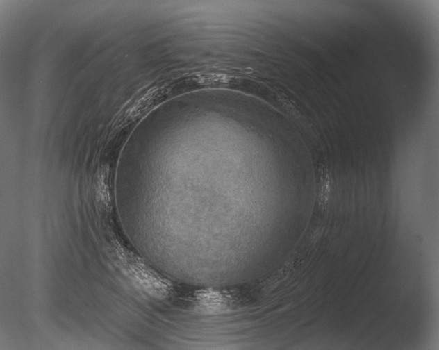 X0000086000616200703231147