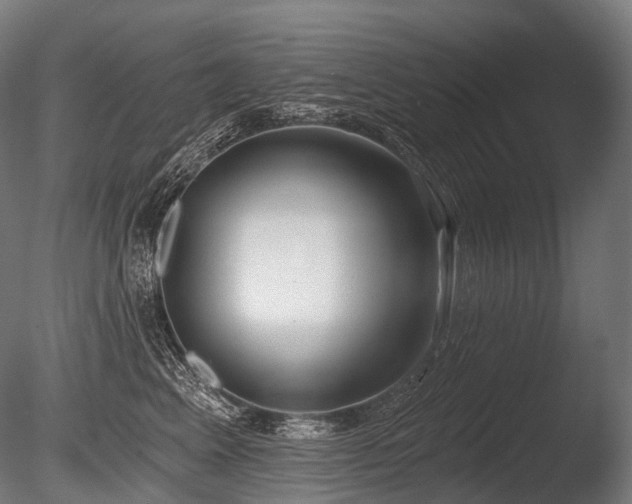 X0000086000617200703231147