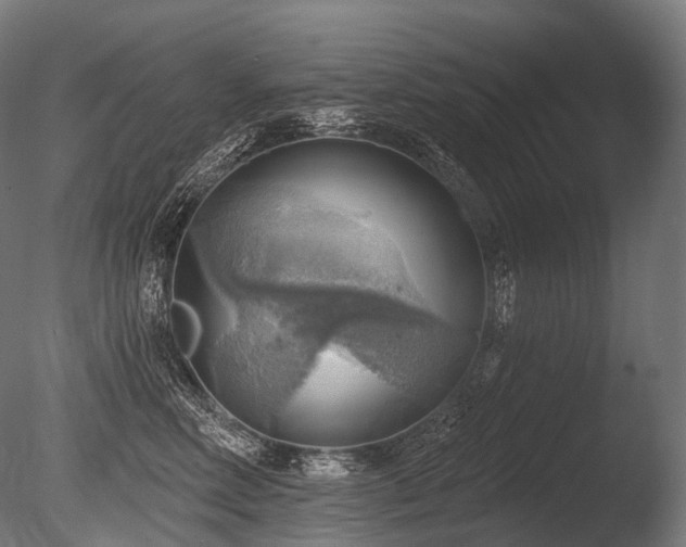 X0000086000618200703231147