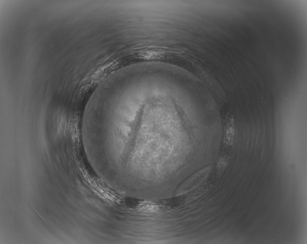 X0000086000620200703231147