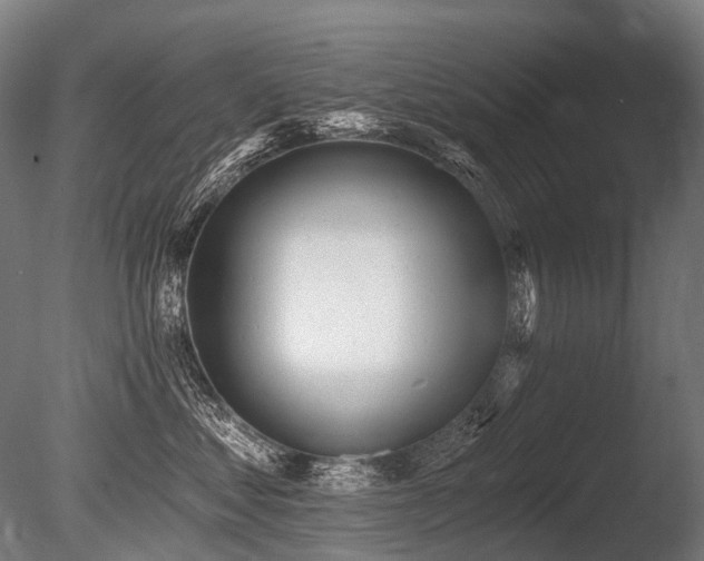 X0000086000621200703231147