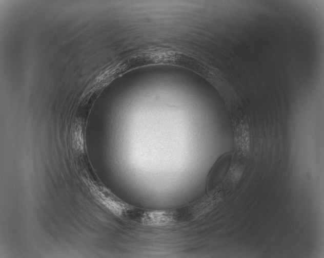 X0000086000622200703231147