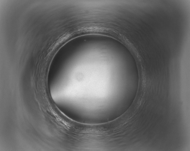 X0000086000625200703231146