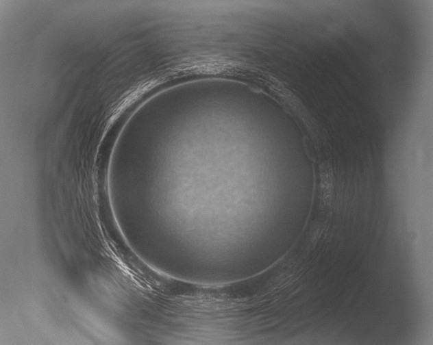 X0000086000626200703231146