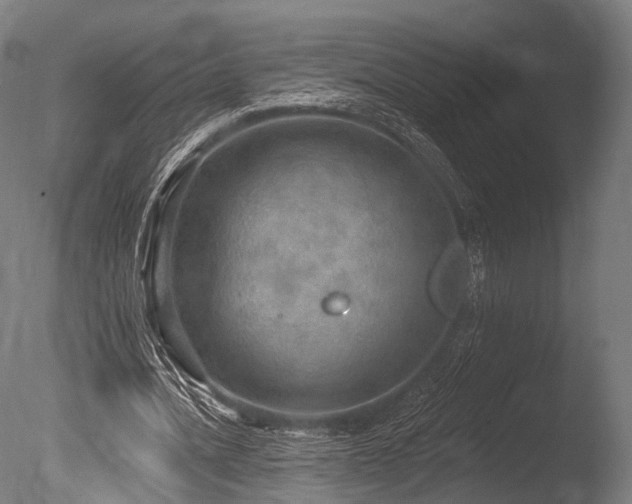 X0000086000628200703231146