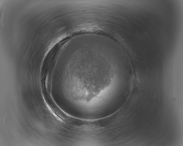 X0000086000630200703231146