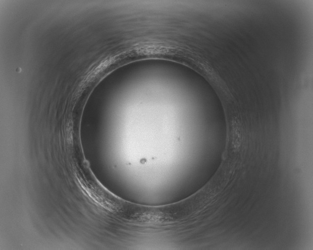 X0000086000631200703231146