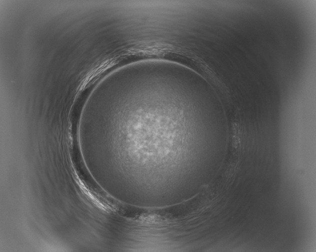 X0000086000634200703231146