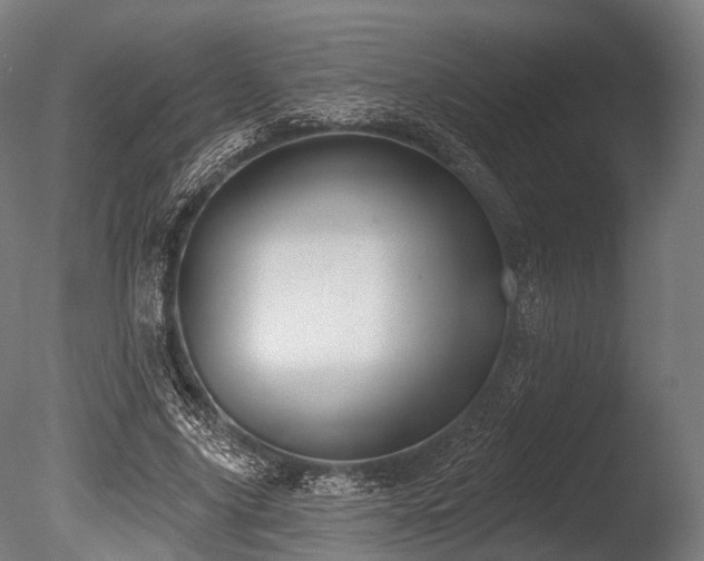 X0000086000635200703231146