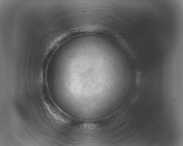 X0000086000636200703231146
