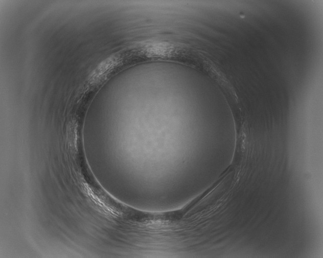 X0000086000637200703231146