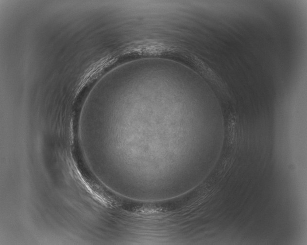 X0000086000638200703231146