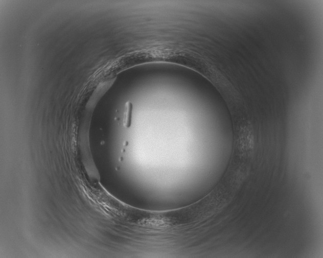 X0000086000639200703231146