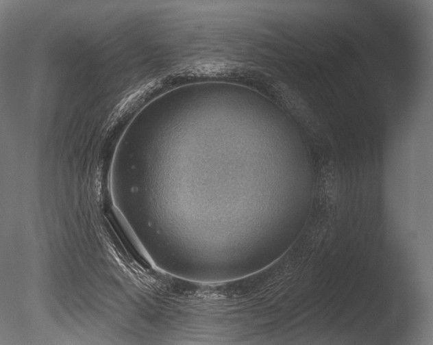 X0000086000640200703231146