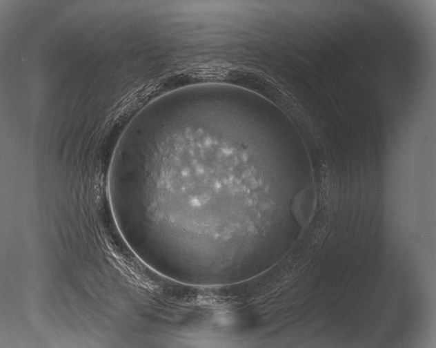 X0000086000641200703231146