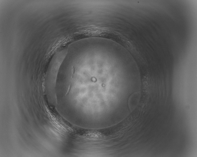 X0000086000642200703231146