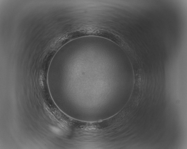 X0000086000643200703231146