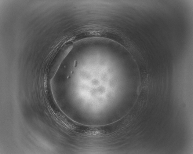 X0000086000646200703231146