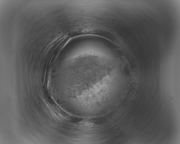 X0000086000648200703231146