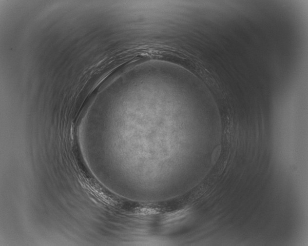 X0000086000649200703231146