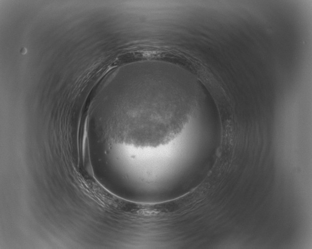 X0000086000650200703231146