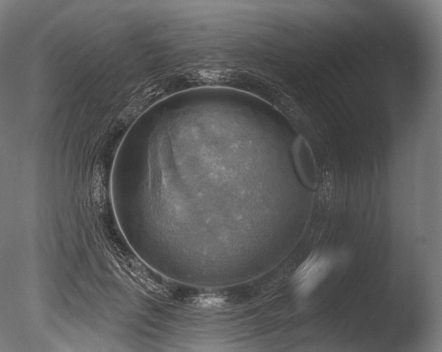 X0000086000651200703231146