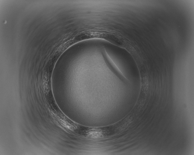 X0000086000653200703231146