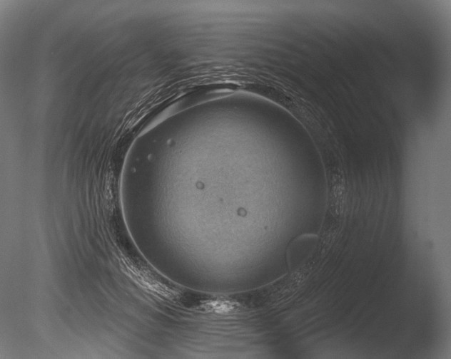 X0000086000654200703231146