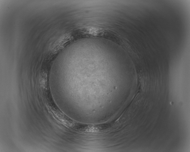 X0000086000656200703231146