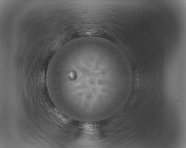 X0000086000657200703231146