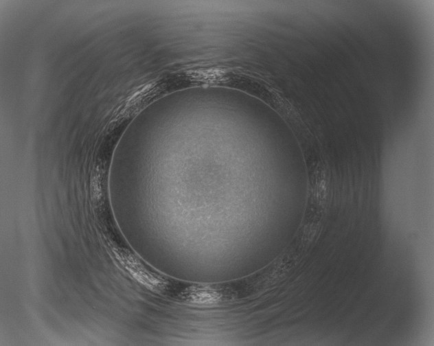 X0000086000658200703231146