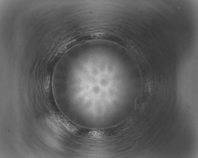 X0000086000660200703231146