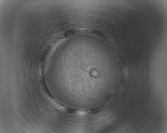 X0000086000662200703231146