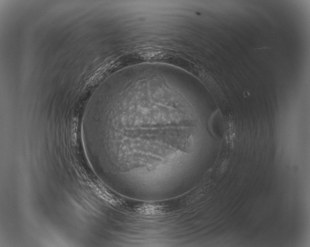 X0000086000664200703231146