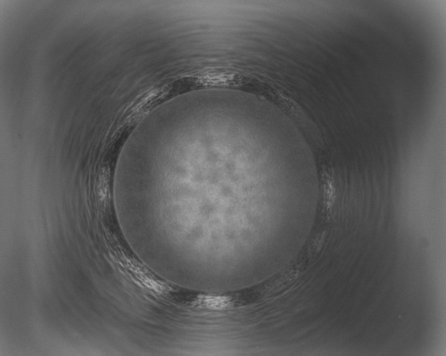 X0000086000665200703231146