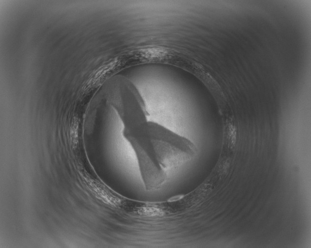 X0000086000668200703231146