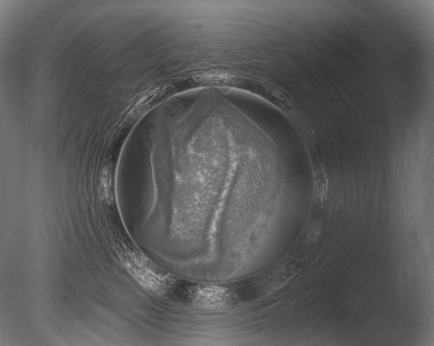 X0000086000669200703231146